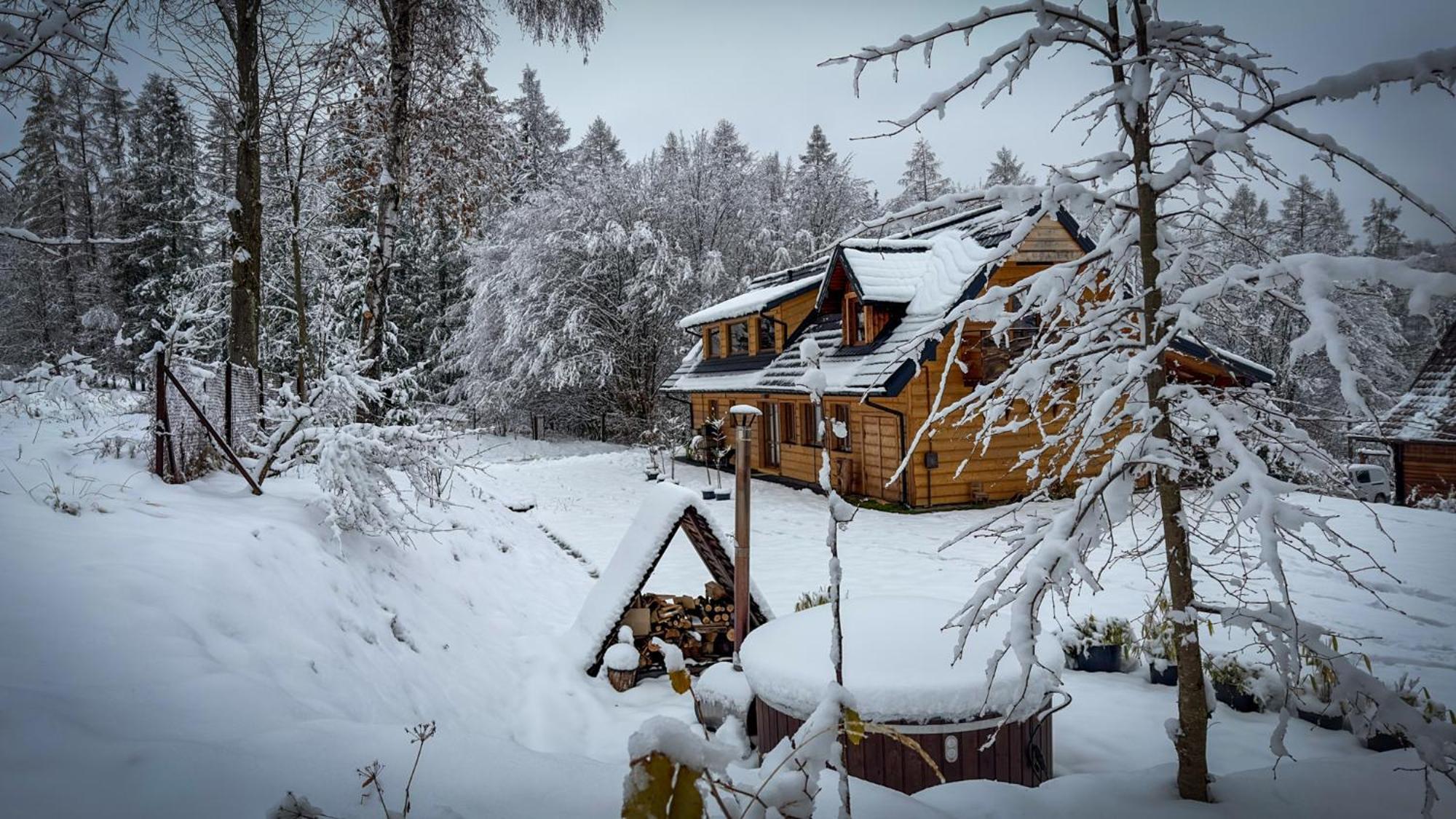 Nadlesniczowka - Bieszczadzka Zagroda Holiday home